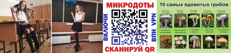 дарнет шоп  Советский  Галлюциногенные грибы GOLDEN TEACHER 