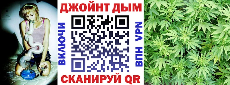 Конопля семена  где купить   Советский 